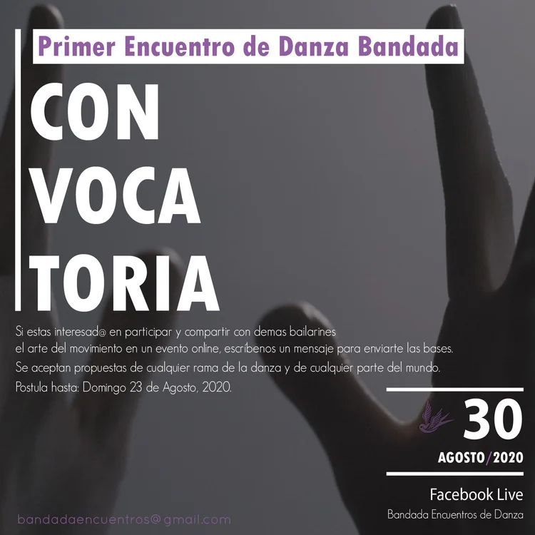 Convocatoria abierta para participar con una intervención del Primer Encuentro de danza Bandada